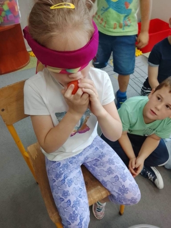 image_699A2387-C5A9-4FA8-9CFC-AFBC4412268A_1781939060.jpeg