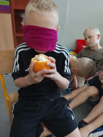image_E9365E95-2268-48CA-B3CD-8F19D69955A9_1781939060.jpeg