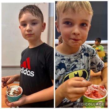 image_493F9206-720A-41AD-87F0-FBC4F03E3326_1781939554.jpeg