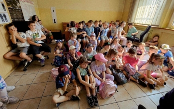 image_3C800958-2C8B-4E7A-9FC0-464E5D7E2F98_1781940241.jpeg