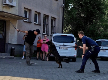 image_5F498AC3-0B56-4718-AC65-5A187207E385_1781940289.jpeg