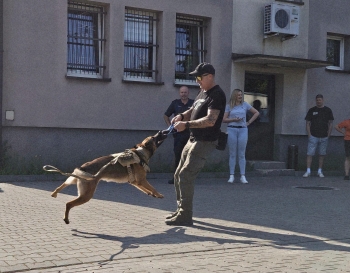 image_87815064-D040-46F6-A730-58ABA556615A_1781940289.jpeg