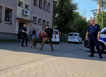 image_AA1CE820-ACDD-45D7-839B-E18411F5B2AC_1781940241.jpeg