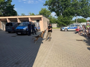 image_FE4668AA-F88E-48AC-AB1D-DA133C04577A_1781940289.jpeg