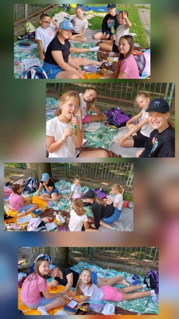 image_9217E4B4-DE2F-42DC-89FF-398D42FC6468_1781940915.jpeg