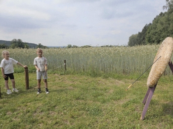 image_DBA81DA1-4C22-49E8-BE27-C2B6A6A23F94_1782292809.jpeg