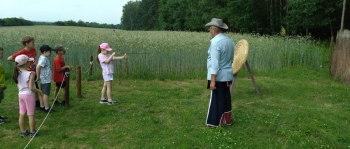 image_86CD7497-2F44-41E6-AEEB-7482CB837F53_1782293094.jpeg