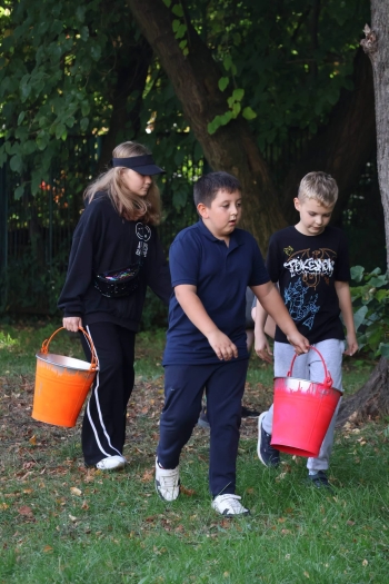 image_370E60C8-DCB9-486F-A210-4354A69662D0_1791273822.jpeg