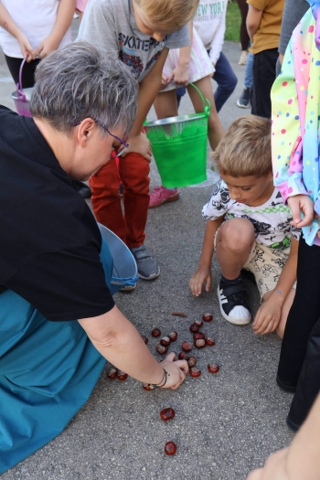 image_4590A01B-2501-49EE-B0AD-5AC6F8CC2434_1791273798.jpeg