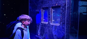image_C621009F-8649-48E4-9BDE-EC1A39E0AF47_1791279404.jpeg