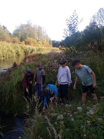 image_19ED8C3C-6F0B-43A4-9829-9C78B6A26416_1791712627.jpeg