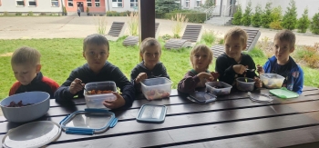 image_2BAFCB69-0B5E-479C-9E28-482987192AD2_1791712829.jpeg