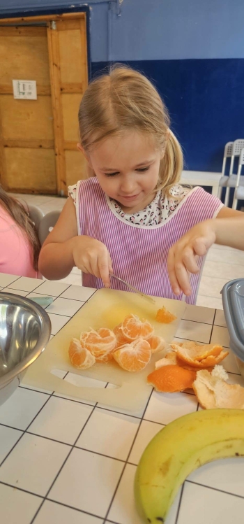 image_EEE373FC-8E99-4202-99AB-C0C7062927A0_1791712859.jpeg