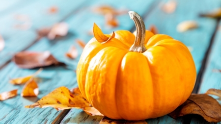 Konkurs plastyczny ''DYNIOWE CUDA''